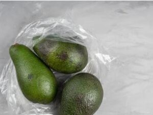 storing avocados for freshness