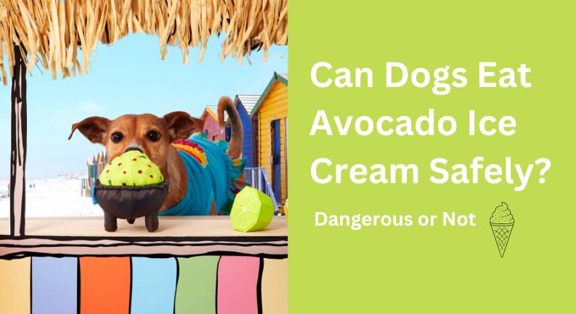 can dogs eat avocado ice cream safely?