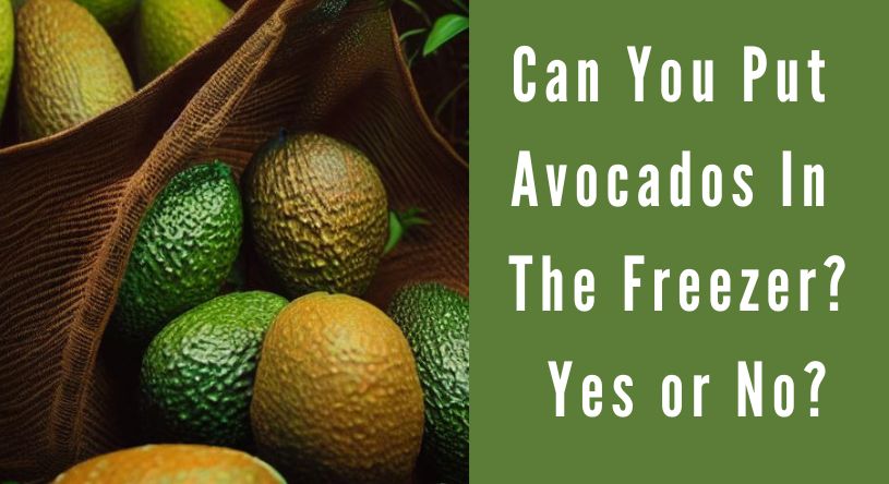 Can you put avocados in the freezer