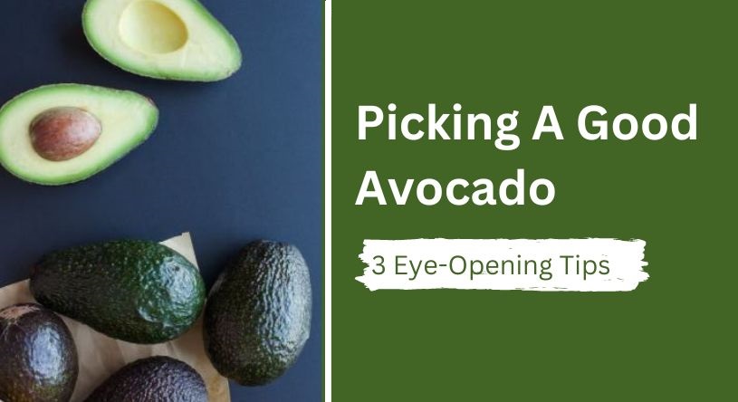 Picking A Good Avocado